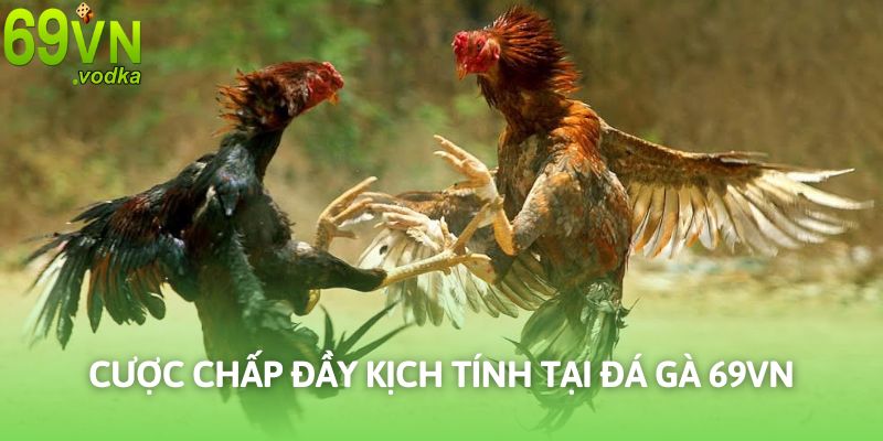 Kèo cược chấp hứa hẹn sự kịch tính không thể bỏ qua